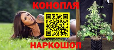 стафф Краснодар