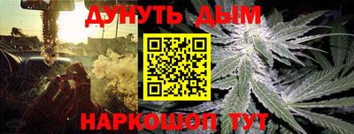 гидра Кулебаки
